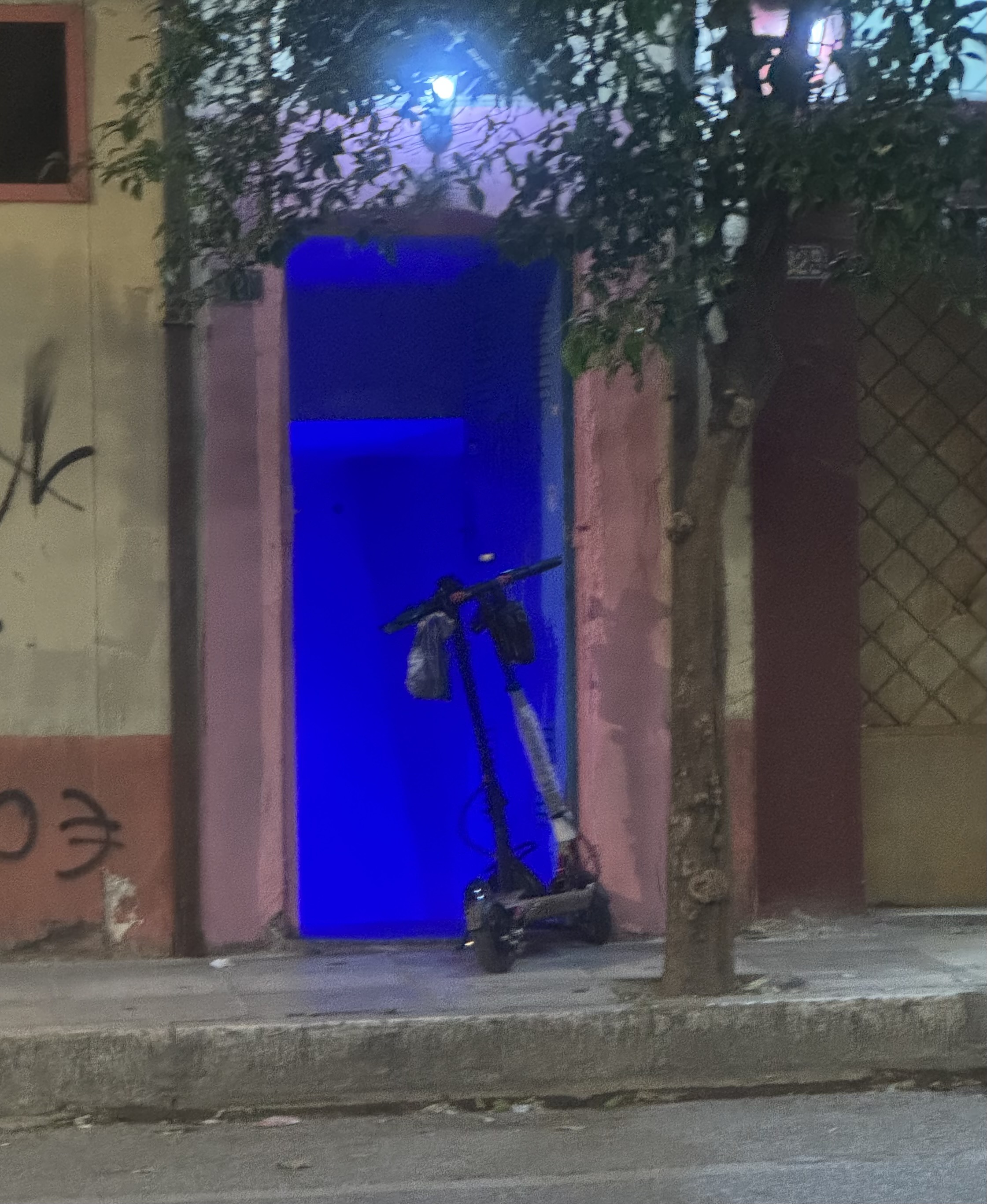 IMG_8305.jpeg