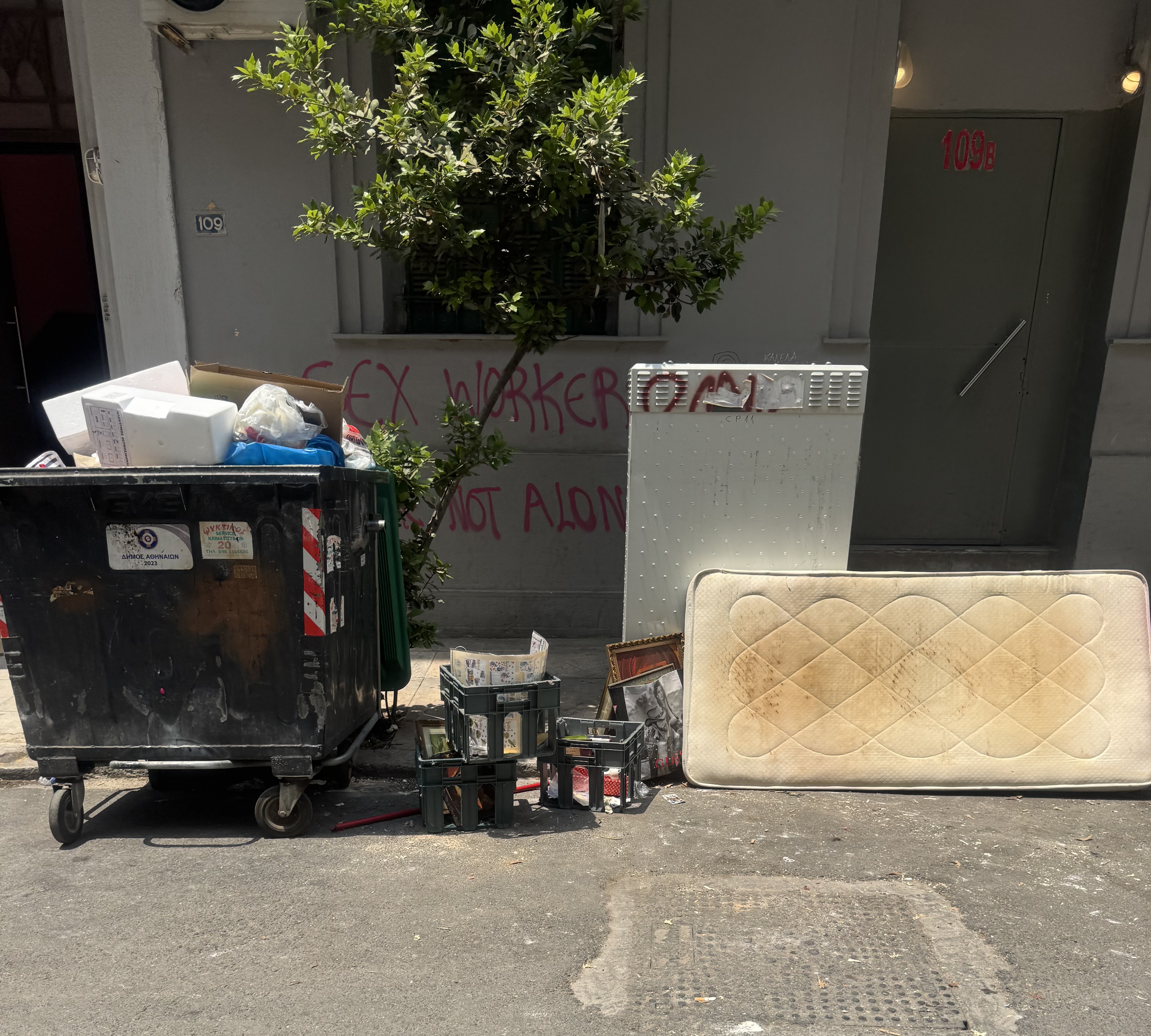 IMG_8309.jpeg