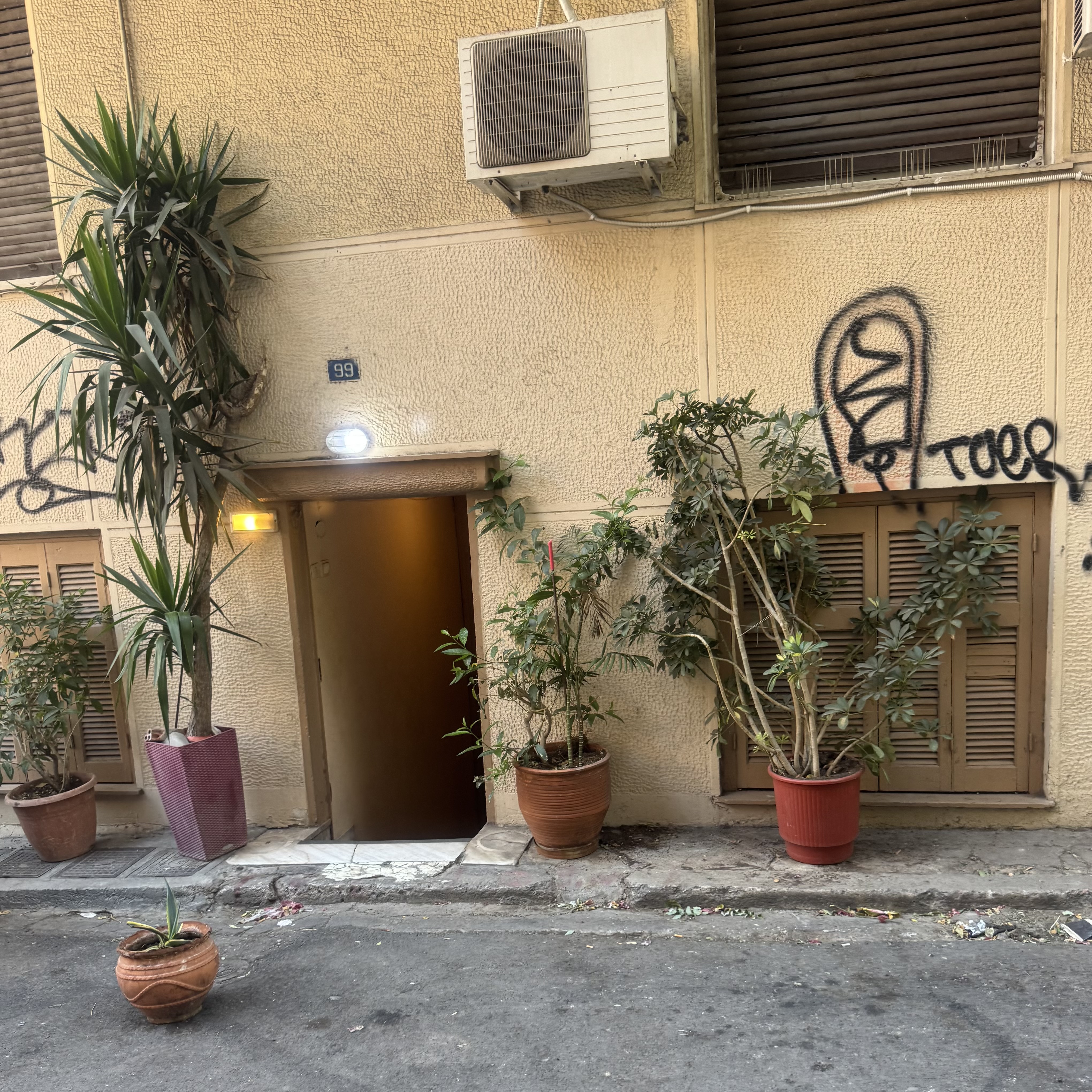IMG_8503.jpeg