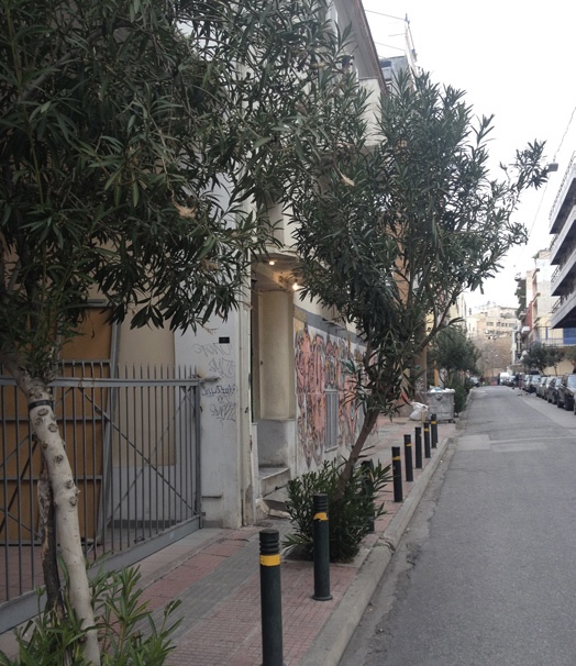 IMG_9140.jpeg