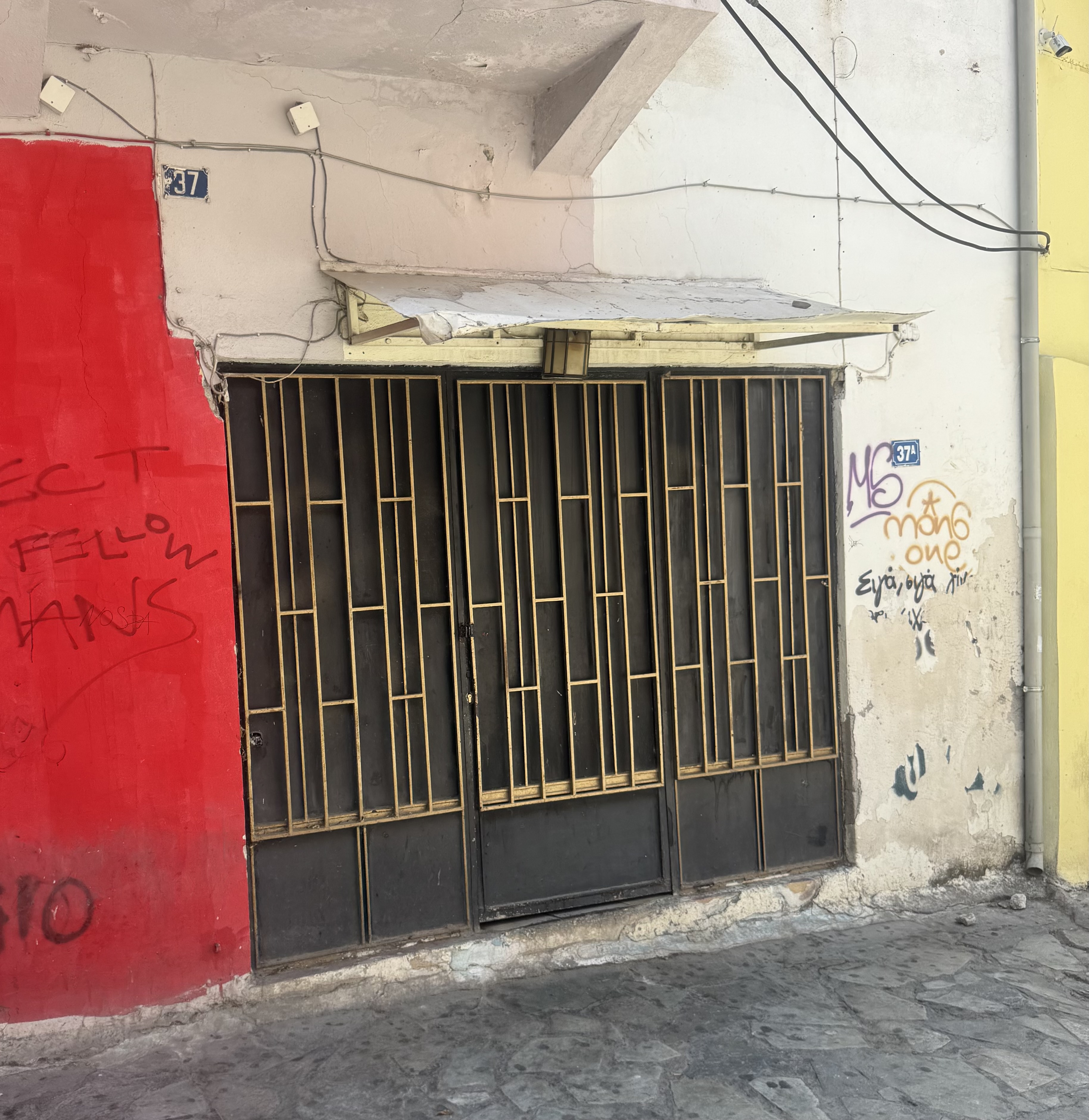 IMG_9252.jpeg