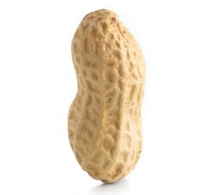 ingenious_peanut-butter_crop-300x275.jpg