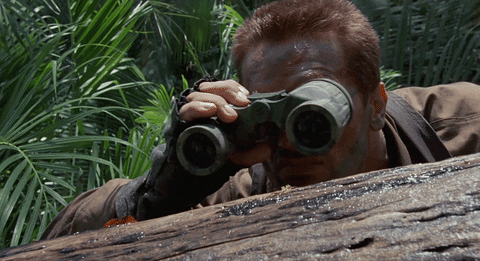 pol.gif