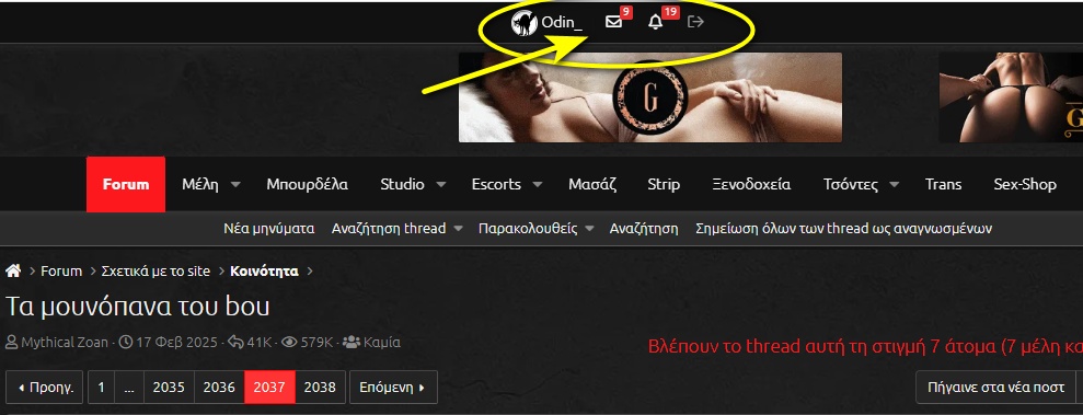 screen_v.jpg