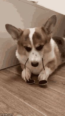 sk.gif