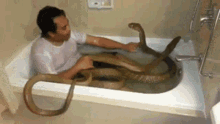 snakes-bath.gif