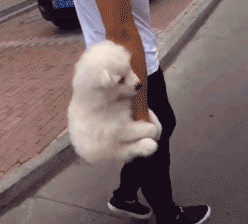 SoFqaWw.gif