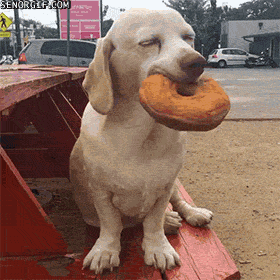 source.gif