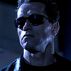 terminator-icegif-3.gif