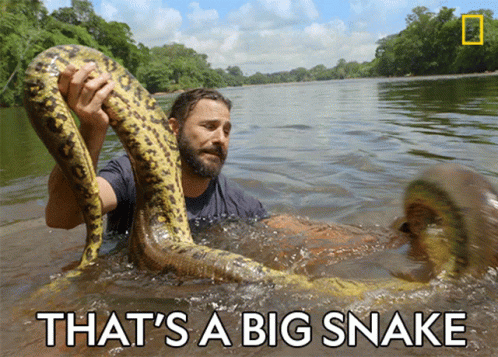 thats-a-big-snake-.gif