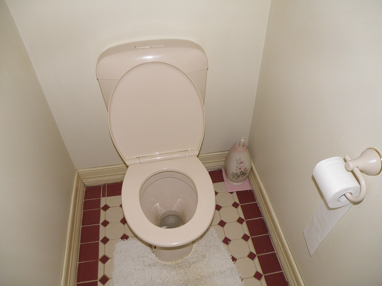 Toilet.JPG