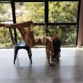 ESCORT-ATHENS-CARLA-SUPER-SEXY-BRUNETTE-GIRL-ATHENS-GREECEESCORTS-1