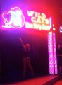 Wild Cats (Λαγανάς) Strip Club (Λαγανάς)