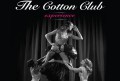 The Cotton Club Experience Strip Club (Νέα Σμύρνη)