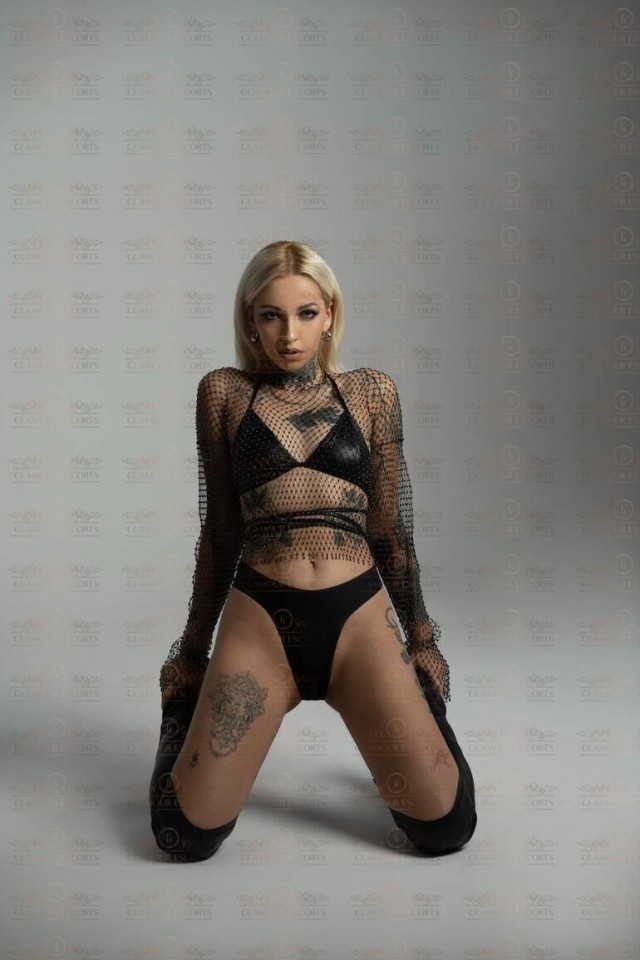 Alica (GlamourEscorts)  escort